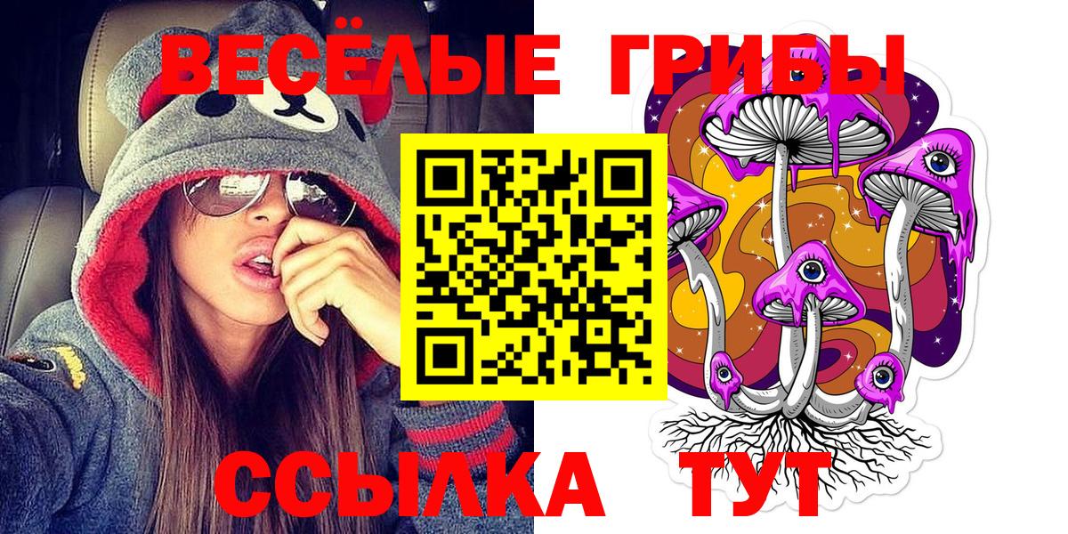Дмитров  Псилоцибиновые грибы Cubensis  Вход с VPN 